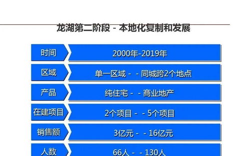 龍湖企業(yè)運(yùn)營(yíng)中的精細(xì)化管理實(shí)踐與策略